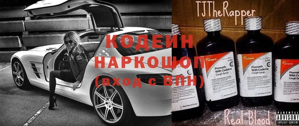 индика Балахна