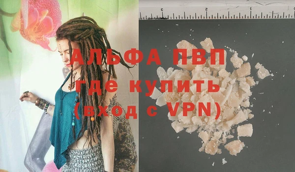 индика Армянск