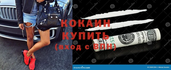 индика Балахна