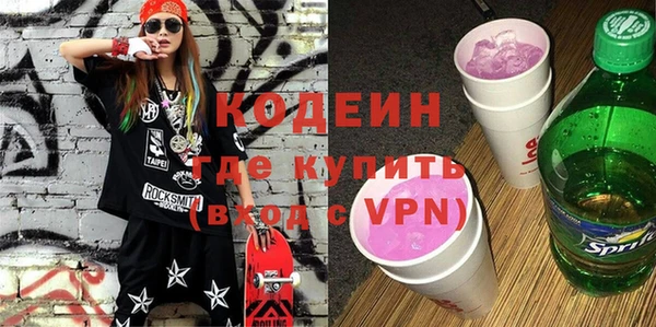 индика Балахна