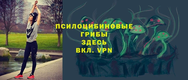 индика Балахна