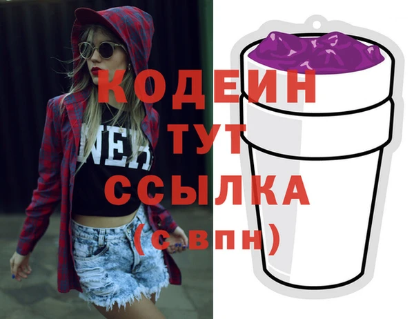 индика Балахна