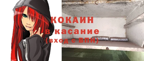 индика Балахна
