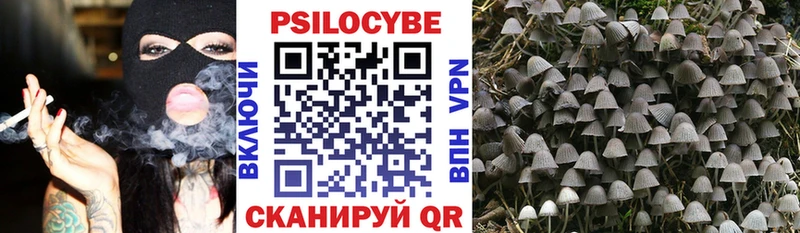 KRAKEN зеркало  Новосокольники  Псилоцибиновые грибы прущие грибы 